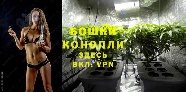 спайс Карталы